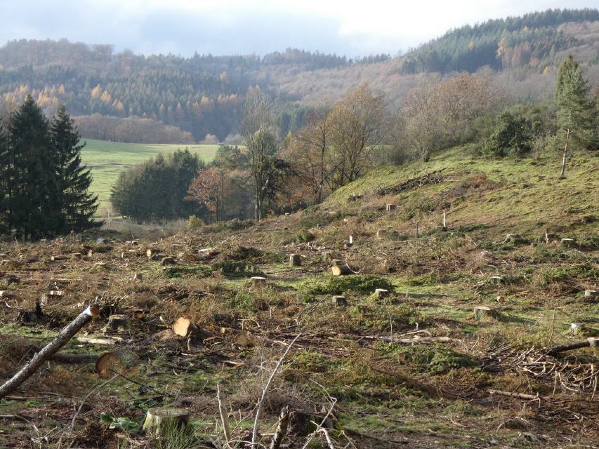 Blick nach Nordwesten